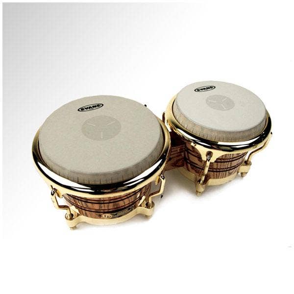 Evans Tri Center Bongo Head
