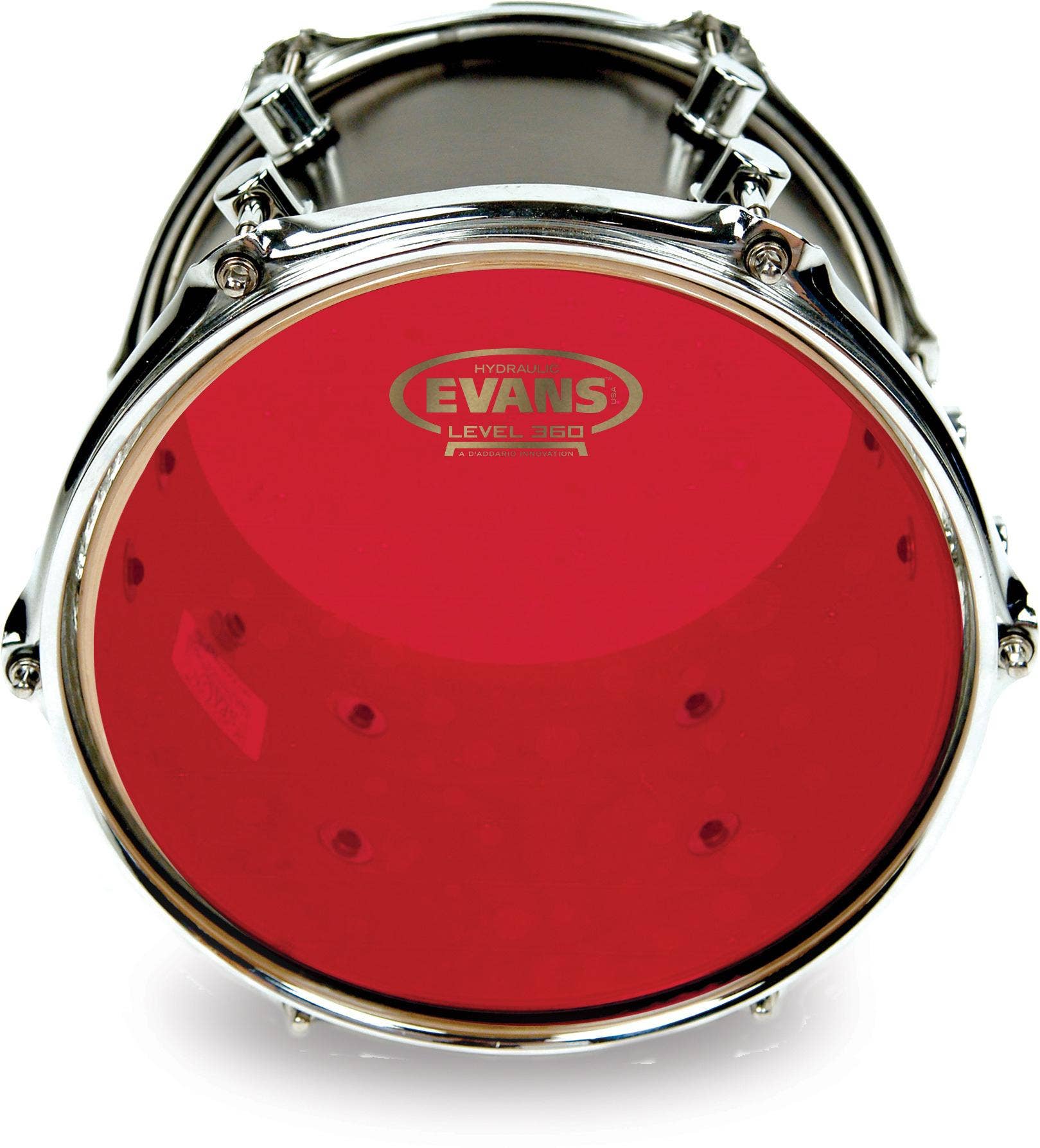 Evans 360 drum head top