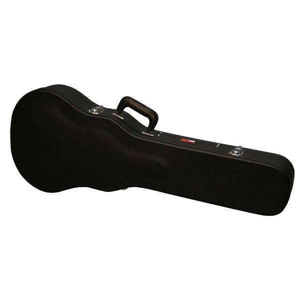Sam ash guitar case hot sale