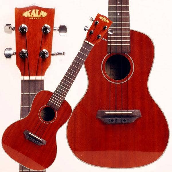 Concert ukulele price cheap