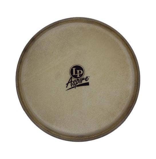 6 inch bongo outlet head