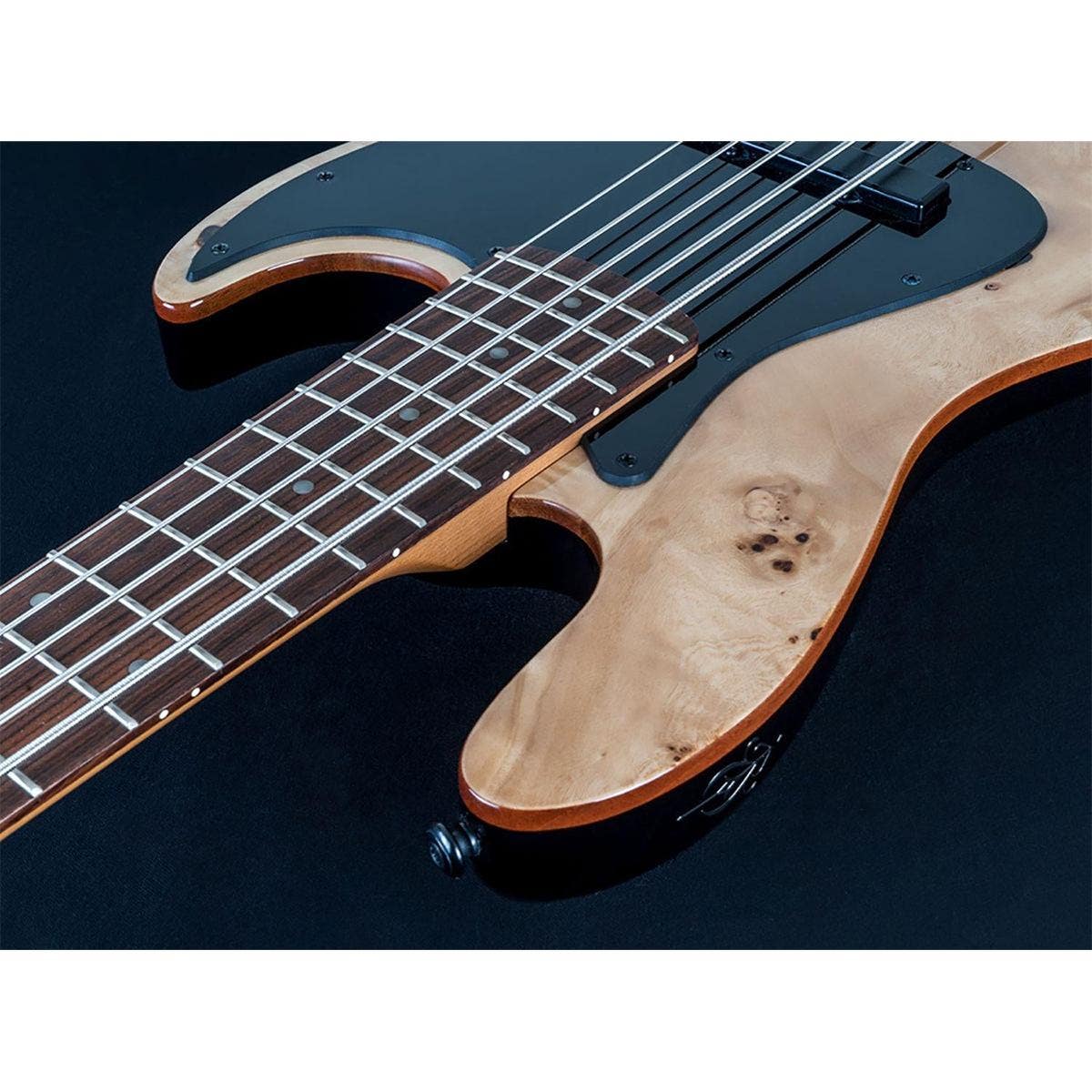 Buy Michael Kelly Custom Collection Element 5R 5-String Bass