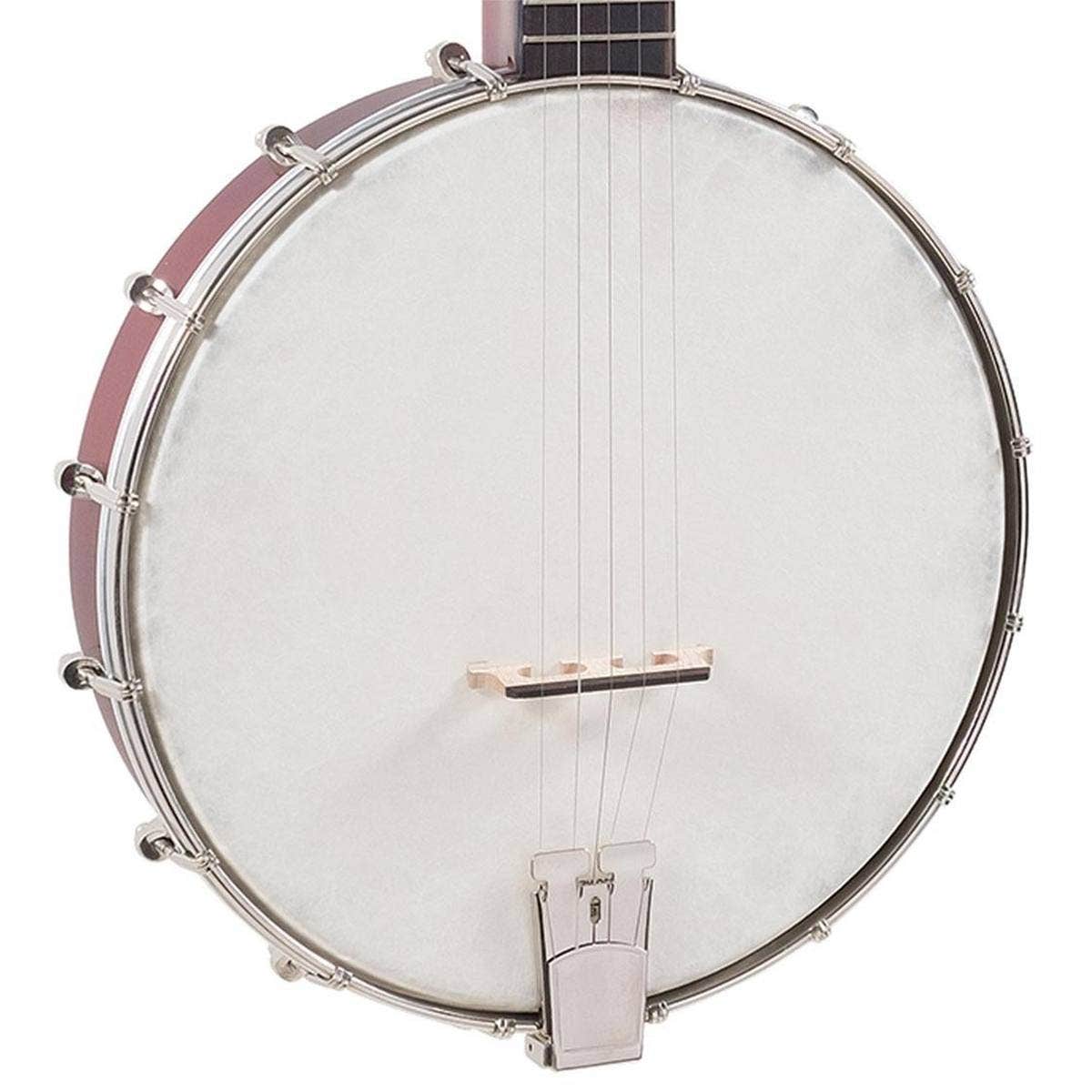 Buy Recording King RKOH-05E Dirty 30s Open Back Banjo w/ Custom Banjo  Pickup Sam Ash Music