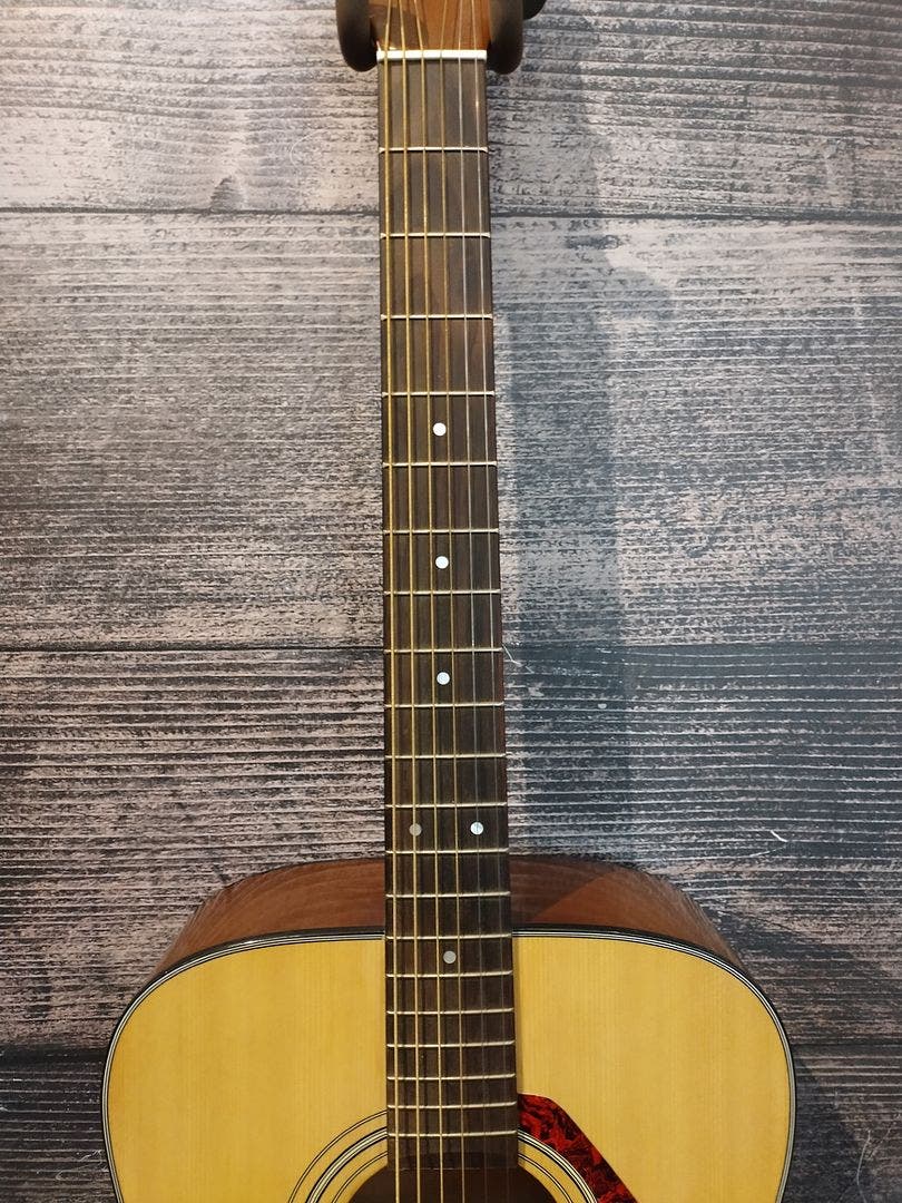 F325 acoustic guitar discount