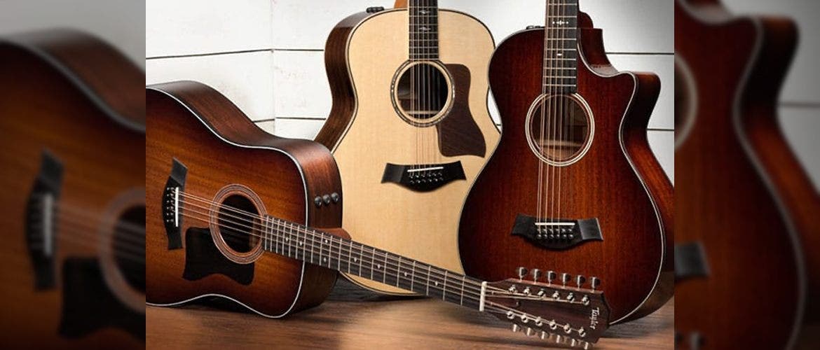 Acoustic guitar wood types top
